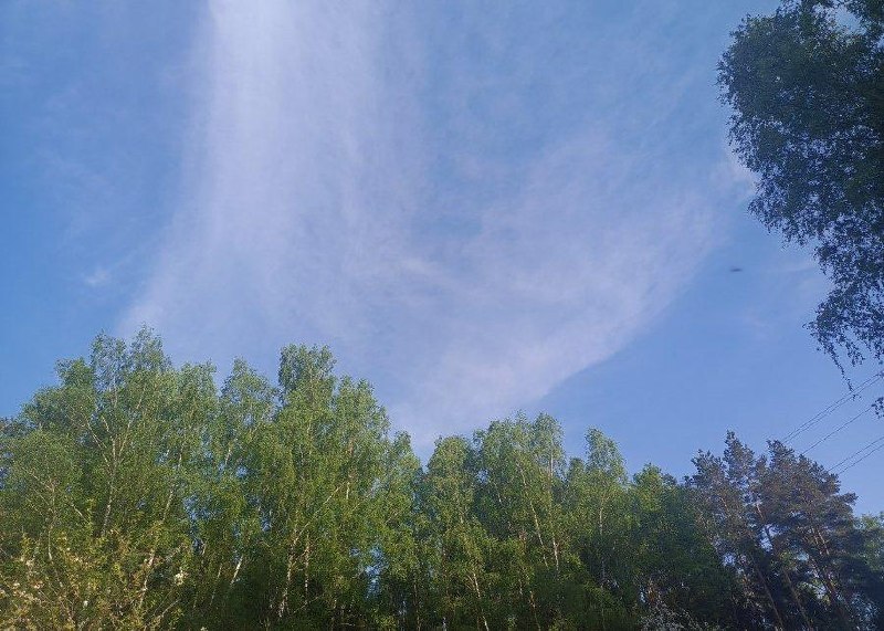 Storm Warning Issued for Belarus on Friday Due to Thunderstorms
