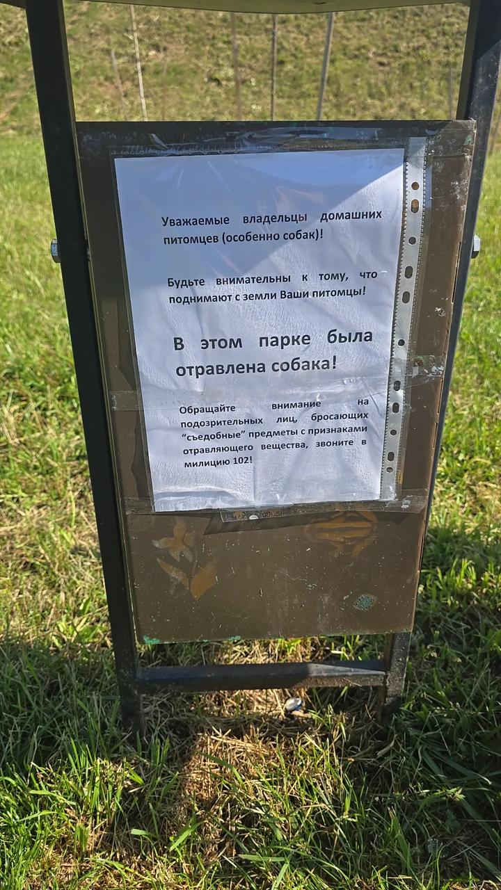 Notice of possible dog poisoning appears in Pavlova Park in Malinovka