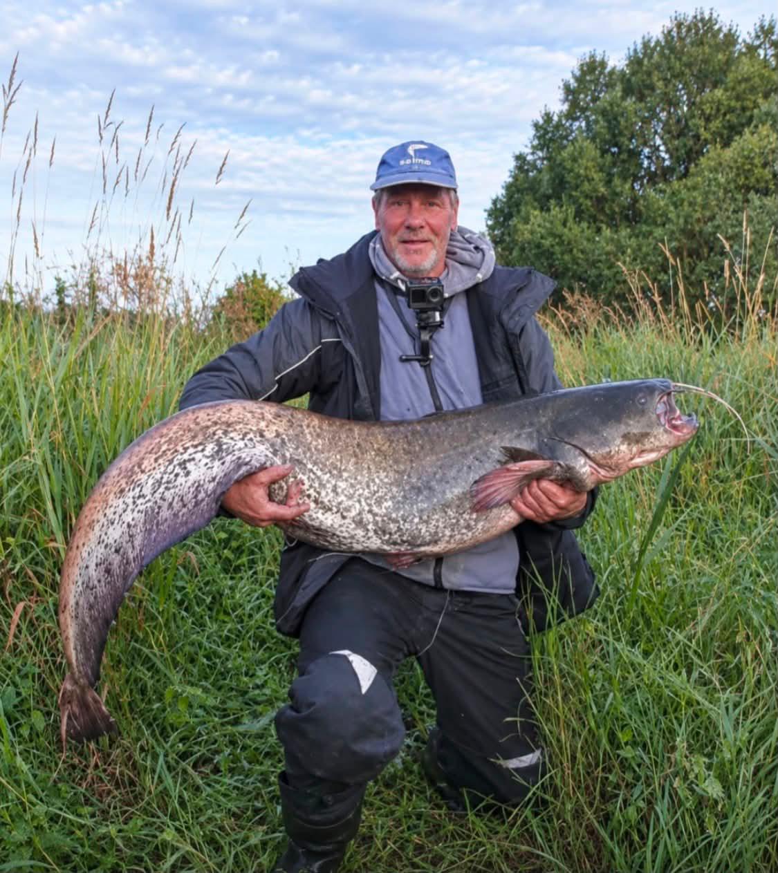 Un silure de 20,4 kg capturé à Svisloch