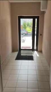 In Lebyazhy, a squirrel tried to enter a building, but the door was closed