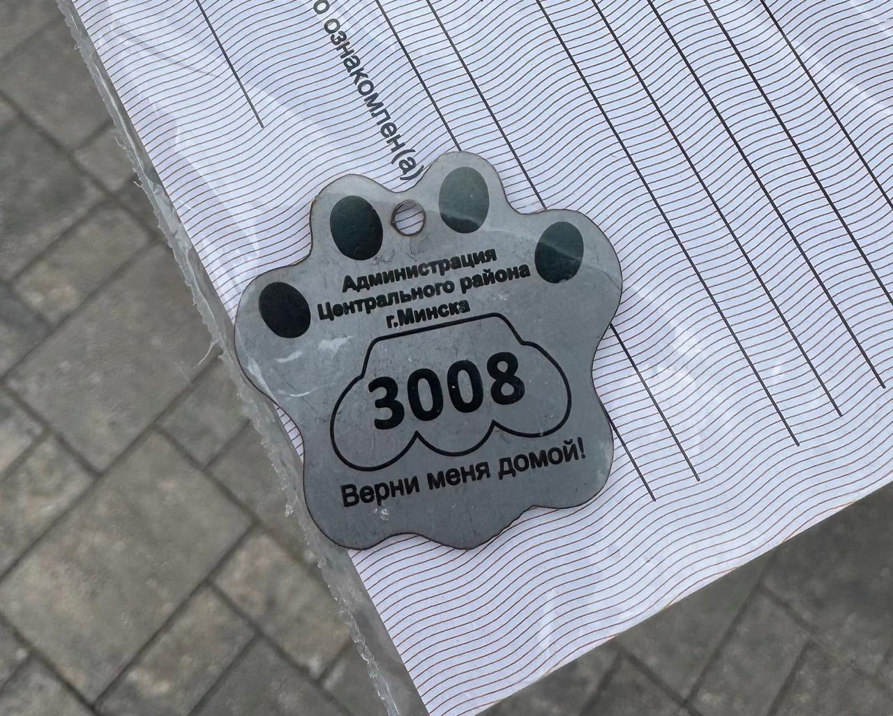From July 1, every registered pet must have a special tag