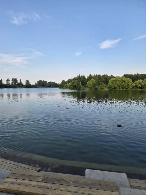 Parco acquatico galleggiante di 'Northern Shore' temporaneamente rimosso