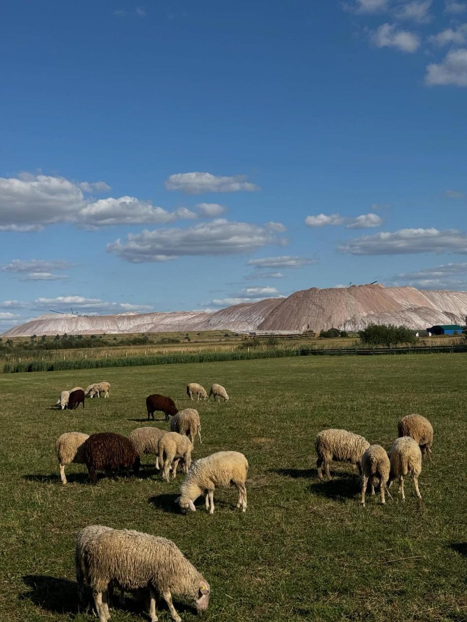 "I was in shock": Farmers speak of boom in visits to 'Belarusian Switzerland'