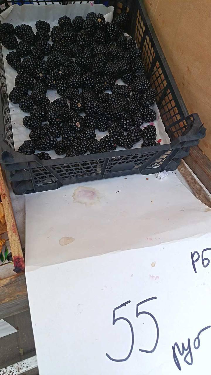 Belarusian outraged by blackberry price — 55 rubles per kilogram