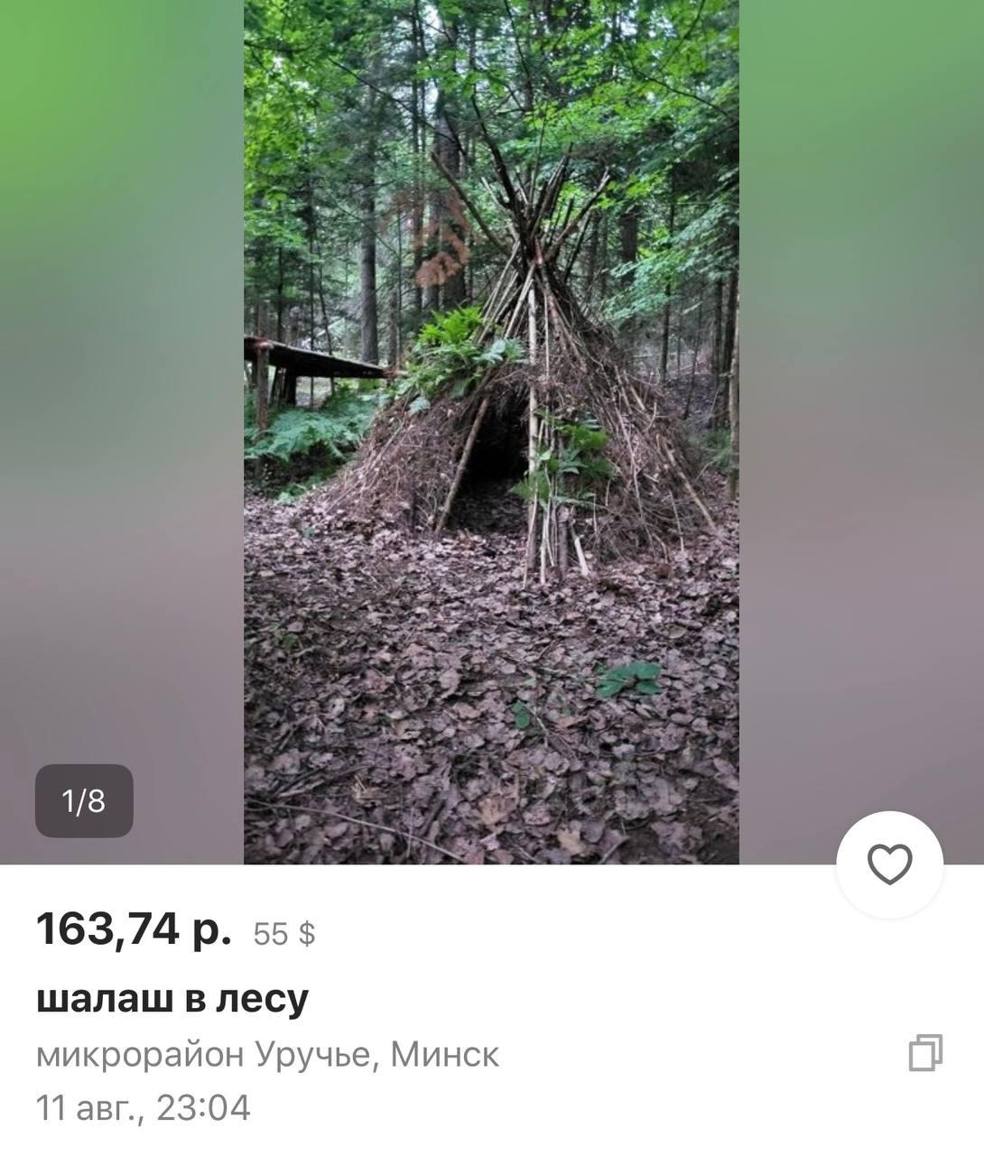 Un cabane à Ouroutchye mise en vente pour 164 roubles