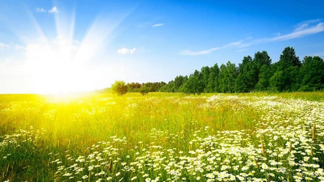 Summer Returns to Belarus: Up to +33°C Forecast for This Weekend