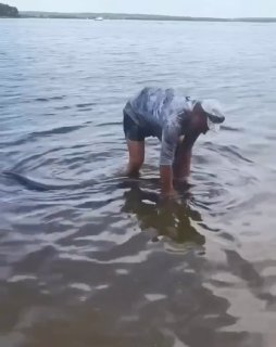 Un énorme silure de 215 cm capturé en région de Minsk