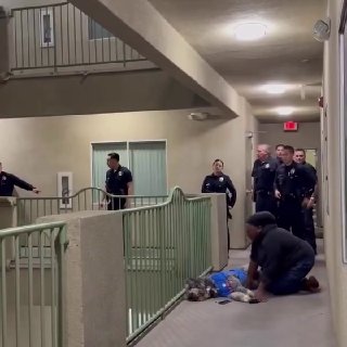 US police 'masterclass': 20 officers respond to noise complaint, shoot dog