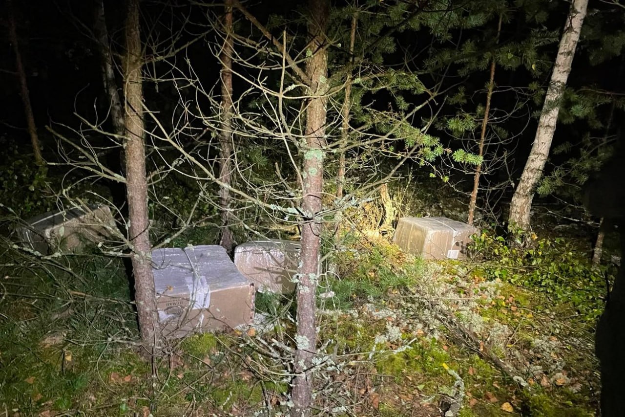 Lithuanian border guards conducted an anti-smuggling operation — and caught themselves