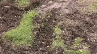 NATO troops damage road to cemetery during 'Namejs 2026' drills