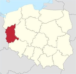 Polish military confuses voivodeships, issues alert on German border