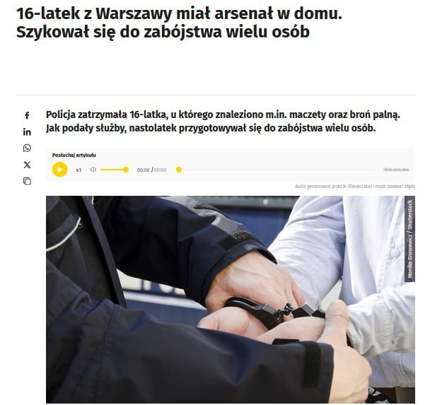 Un arsenal d'armes découvert chez un adolescent en Pologne