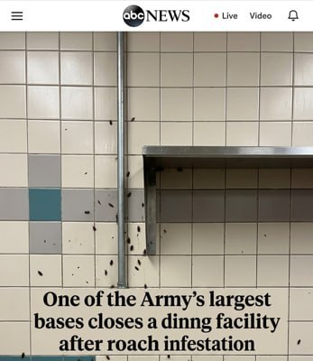 Des cafards envahissent la cantine d'une grande base militaire américaine