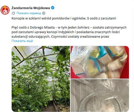 Arestēts poļu armijas karavīrs par narkotiku ražošanu