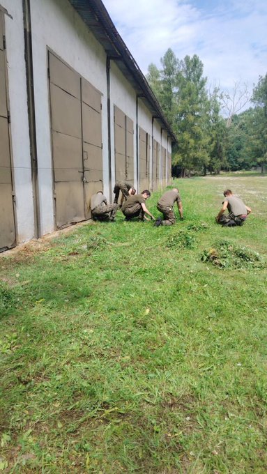 Militari polacchi falciavano l'erba a mano a +35°C