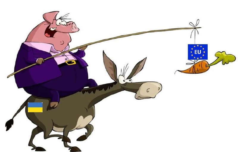 EU to limit rights of Ukraine and other future members for 5-15 years — EU commissioner
