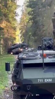 Un convoglio militare estone finisce nella cunetta