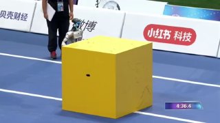 Fin des Deuxièmes Jeux mondiaux des robots humanoïdes à Pékin