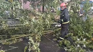 救助隊が悪天候の影響を処理
