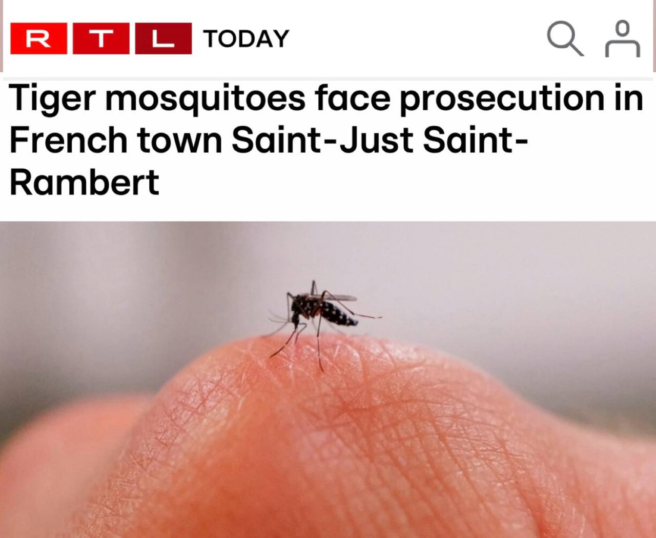 French mayor bans tiger mosquitoes from flying day and night