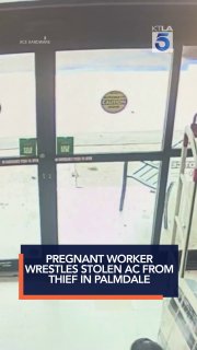 Pregnant store employee in California fights off thief stealing air conditioner