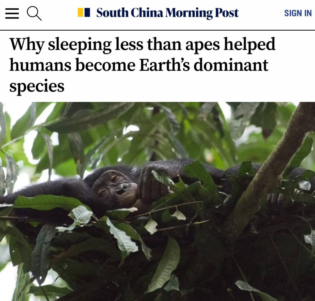 Humans became dominant due to sleeping less than apes