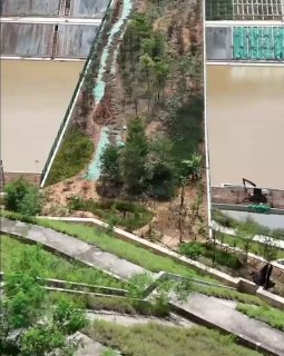 China builds a separate bridge for wild animals