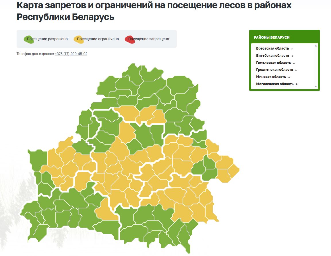 Forest access restrictions introduced in 56 districts of Belarus