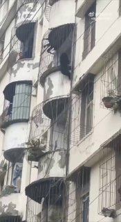 Bear cub climbs balconies to third floor in China's Sichuan province