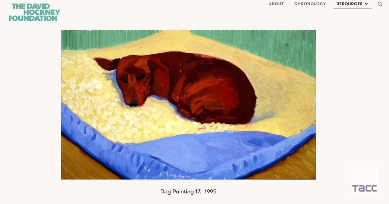 David Hockney's dog portrait up for auction at $2-3.3 million