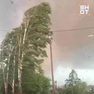 Tornado Hits Sverdlovsk Oblast