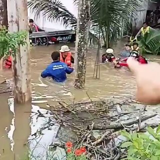 400-kg crocodile evacuated from flooded temple in Thailand