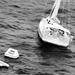 Sperm whales capsize yacht in Pacific Ocean, four aboard unharmed
