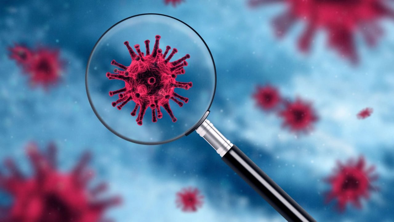 Measles Outbreak in Pennsylvania: Nearly 1,000 Infected, 5 Dead