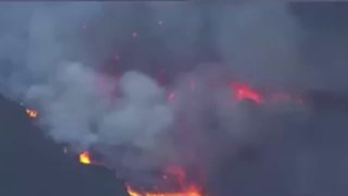 Wildfire covers nearly 300 hectares in California, state fire service reports