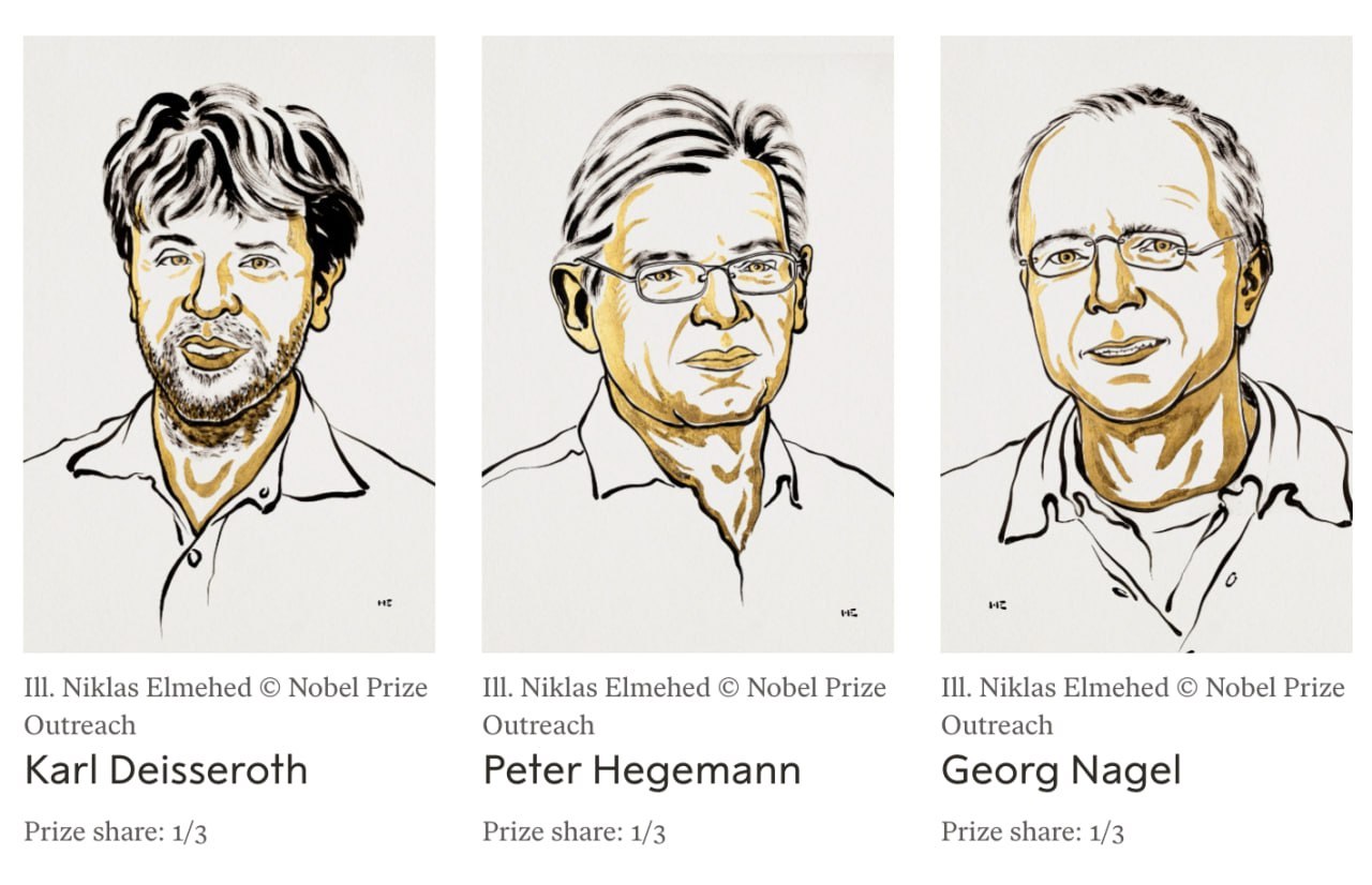 Nobel Prize in Medicine Awarded for Work on Light-Controlled Ion Channels and Optogenetics