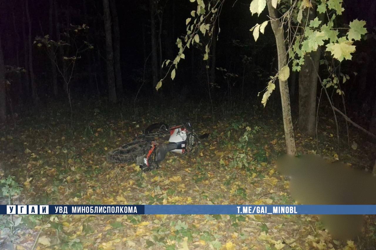 Motorcyclist dies in crash with moose near Minsk