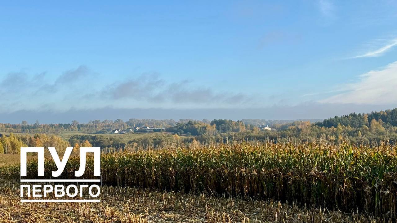 Lukashenko's workweek begins in the fields