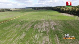 In Mogilev Region, about 50% of planned areas have been put into use after reclamation