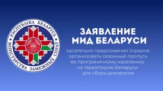 Belarus proposes seasonal simplified border crossing for Ukrainians to gather wild forest products