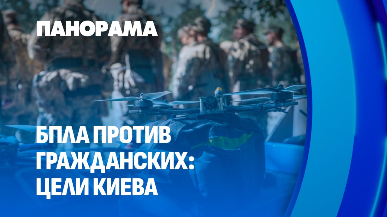 Ukrainian Armed Forces' strategy is clearly terrorist in nature