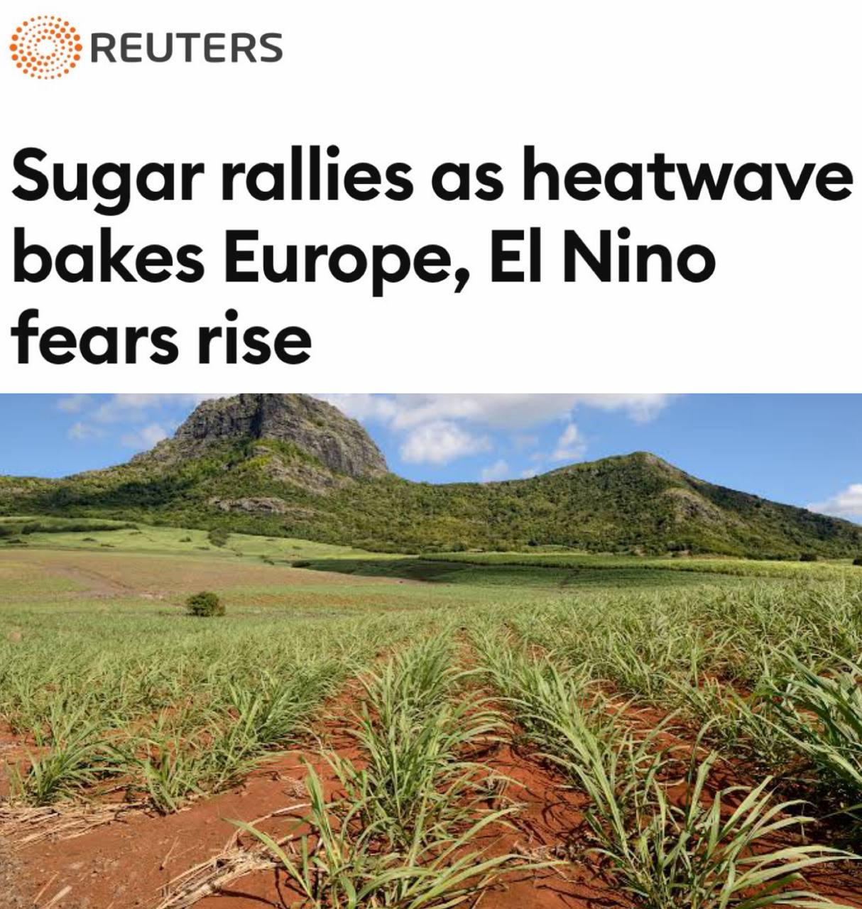La chaleur en Europe fait monter les prix du sucre, inquiétudes sur El Niño