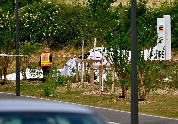 Light aircraft crashes in northeast France, 11 killed