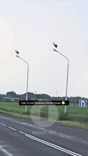 En Biélorussie, un nouveau système de vidéosurveillance : les « cigognes » attrapent les contrevenants