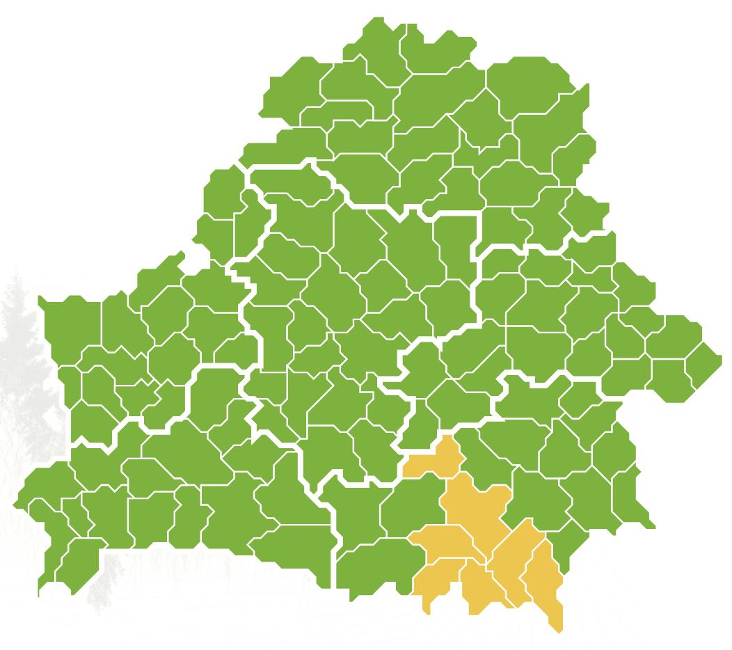 Forest access restrictions in place in 7 regions of Belarus — Ministry of Forestry