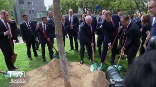 Tree planted by Belarusian leader now grows at highest point of Peking University
