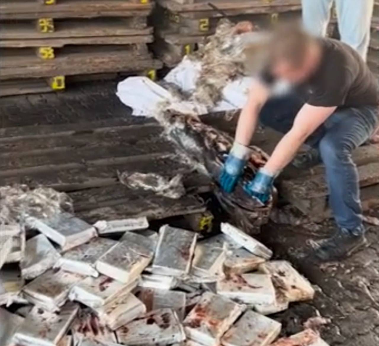 500 kg of cocaine found in tuna container at St. Petersburg port