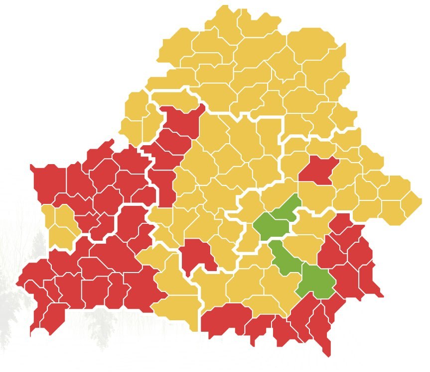Zakazy wstępu do lasów obowiązują w prawie wszystkich rejonach Białorusi