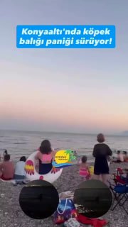 Shark spotted on beach in Antalya for the second time