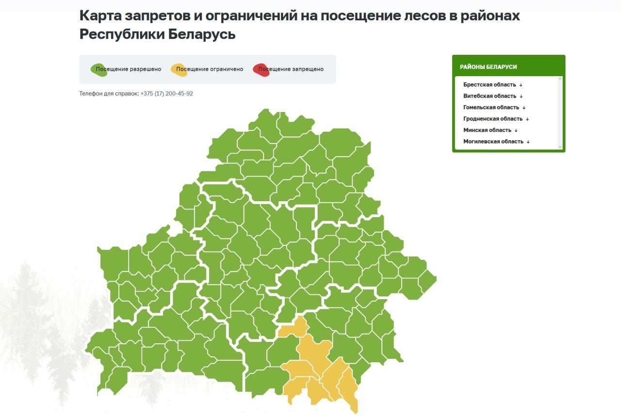 Forest access restrictions remain in seven districts of Gomel region